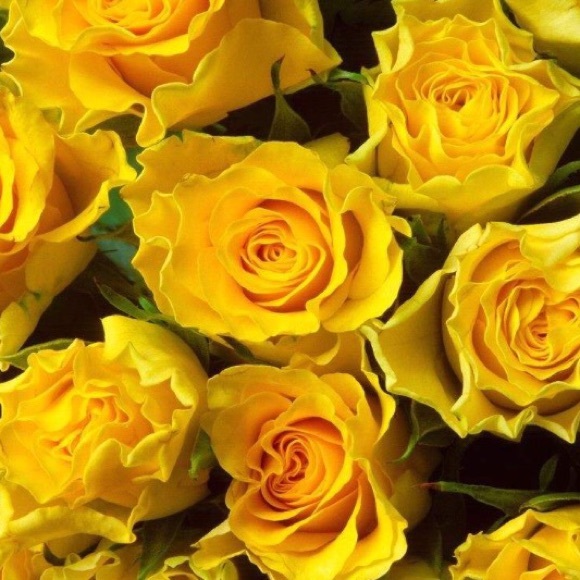 Thank you for shopping my closet. Bundle to save!! - Picture 5 of 8